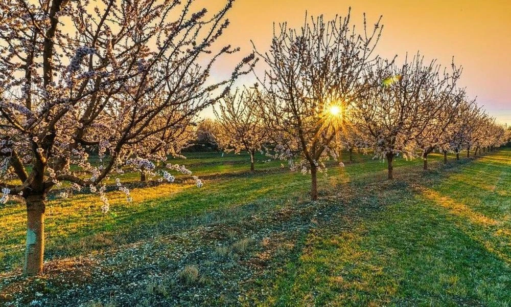 Καιρός: Ανοιξιάτικος προβλέπεται το Σαββατοκύριακο-Υψηλές θερμοκρασίες σε όλη τη χώρα